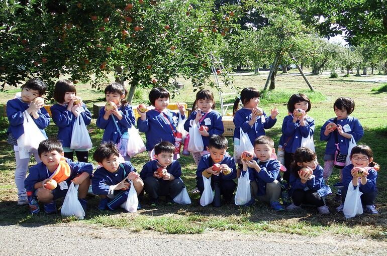 りんごの収穫🍎
