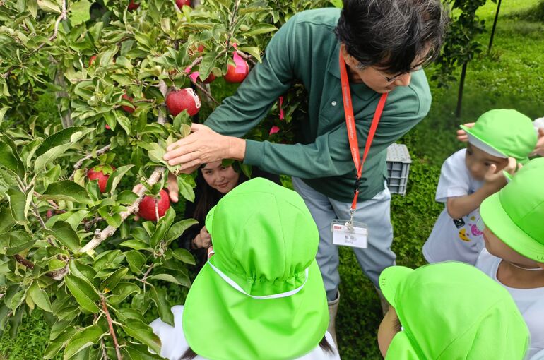    🍎りんごの収穫🍎   