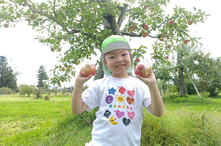   🍎りんごの収穫🍎   