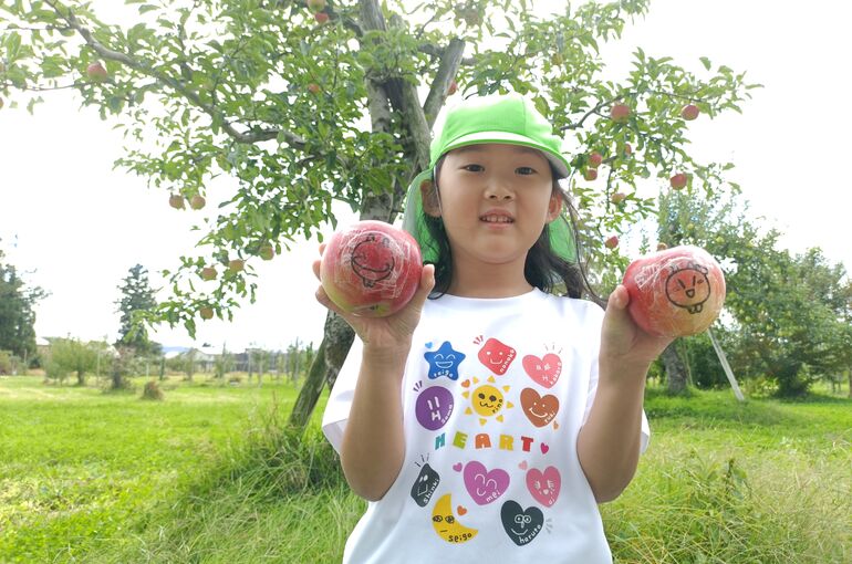    🍎りんごの収穫🍎   