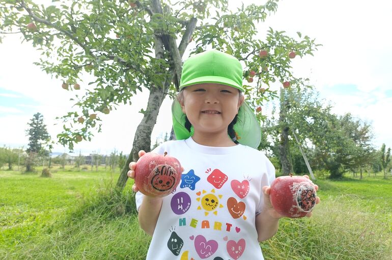    🍎りんごの収穫🍎   