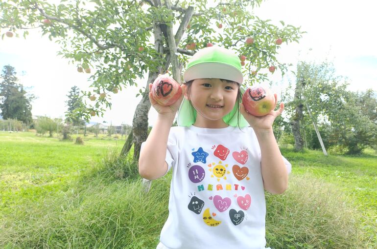    🍎りんごの収穫🍎   