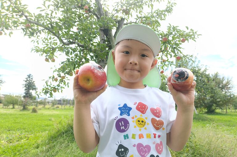    🍎りんごの収穫🍎   