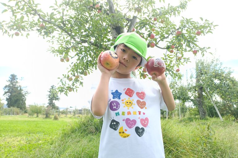    🍎りんごの収穫🍎   