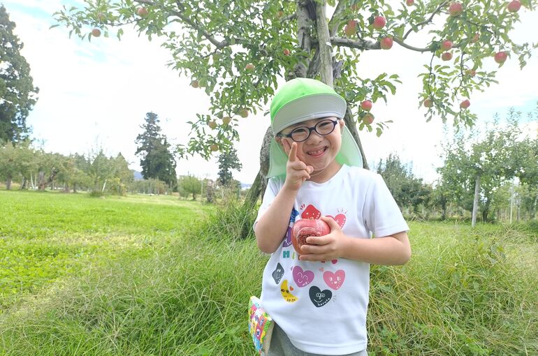    🍎りんごの収穫🍎   