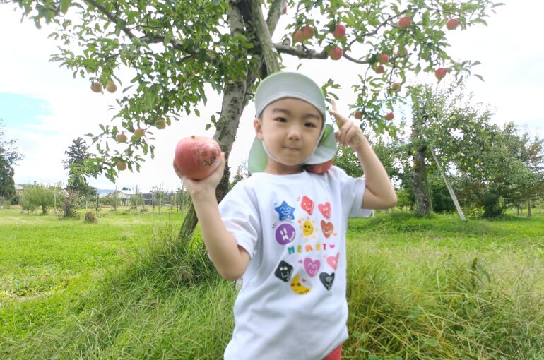    🍎りんごの収穫🍎   