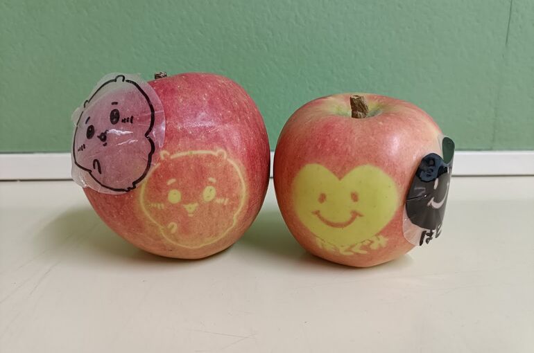    🍎りんごの収穫🍎   