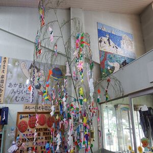 DSCF6074