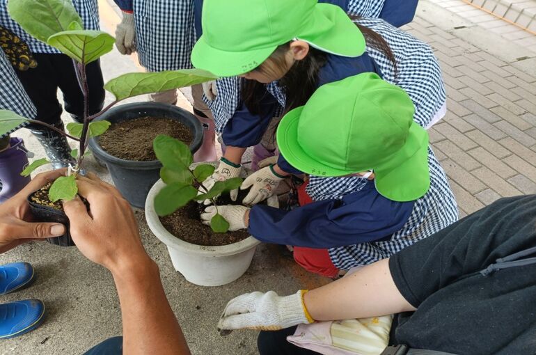 batch_IMG20260609113246