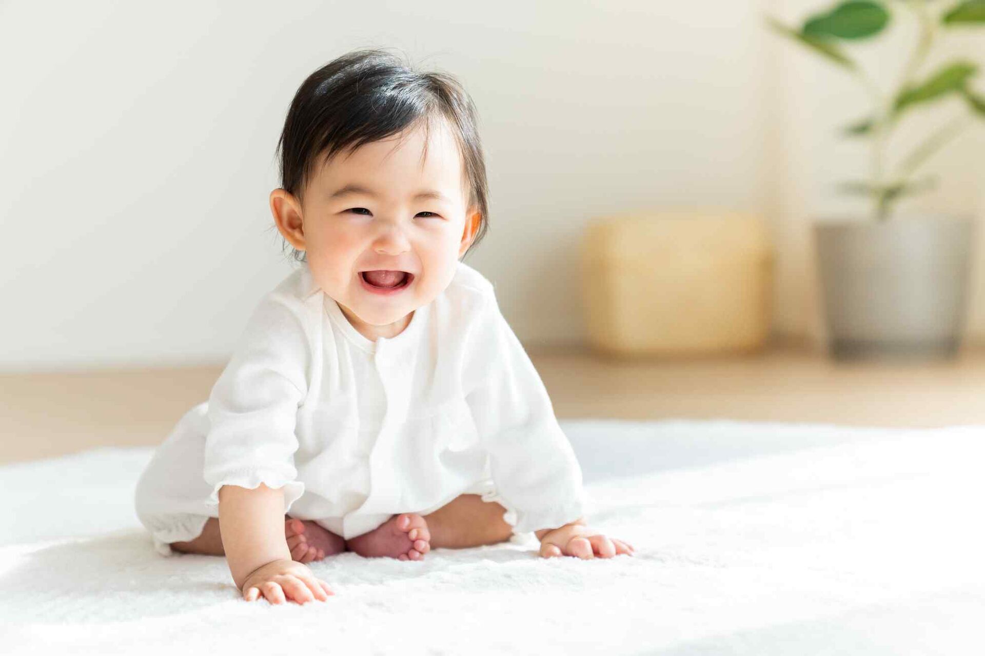 ひよこ組(0歳児)